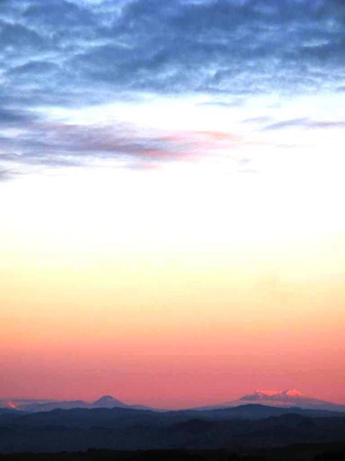 Rock Retreat B&B Farmstay 怀托摩洞穴 外观 照片